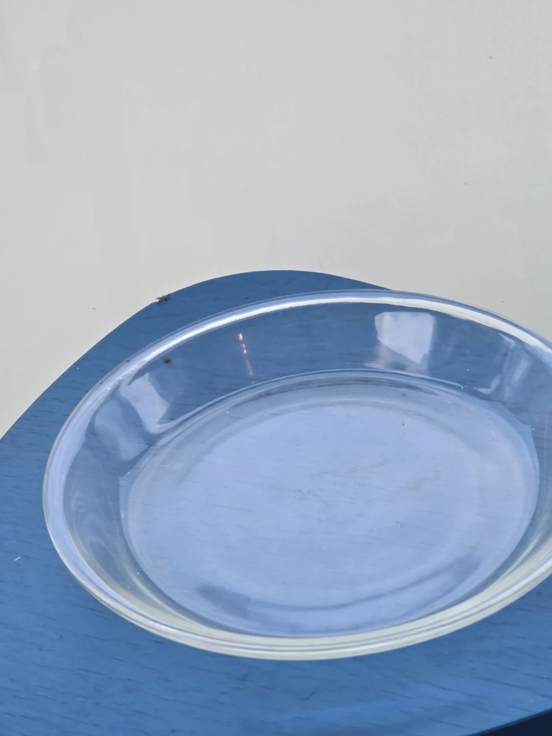 Clear Glass Pie Dish