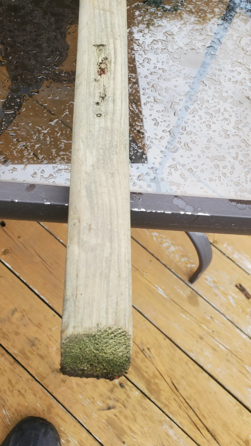 Pressure-Treated Wood Planks - photo 4