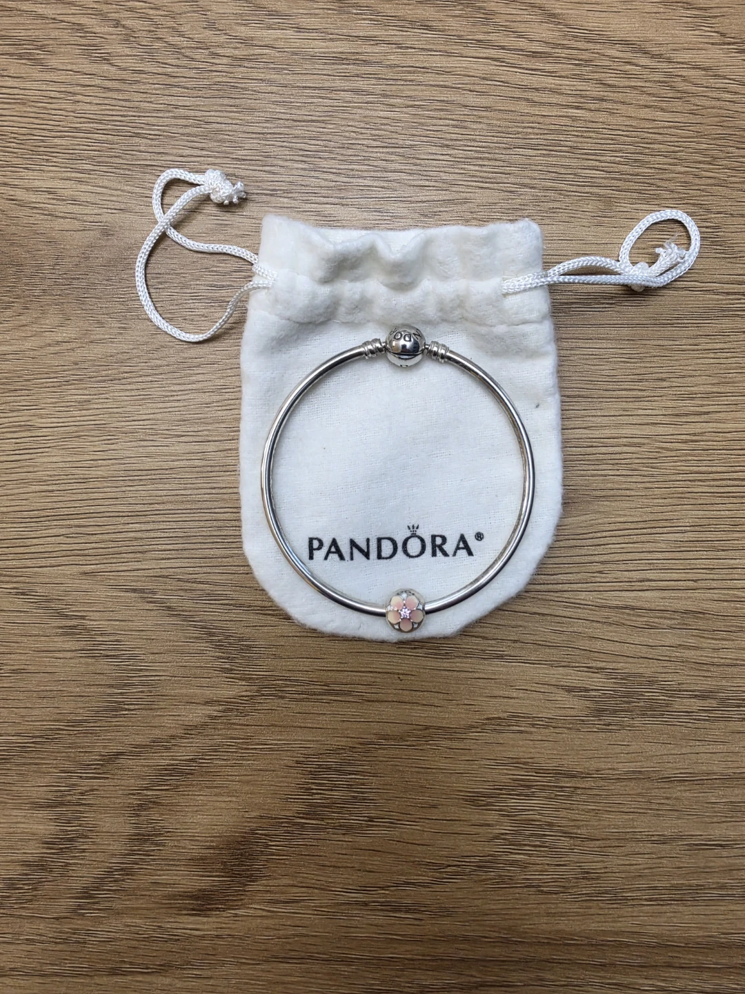Brand New Pandora Moments Bangle Bracelet with one Charms - photo 5