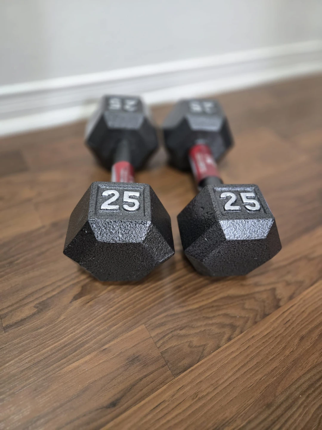 25lb Cast Iron Hex Dumbbell Pair - New!