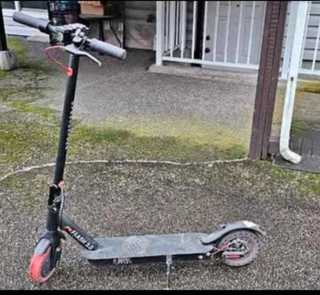 Gotrax Flash 3.0 Electric Scooter