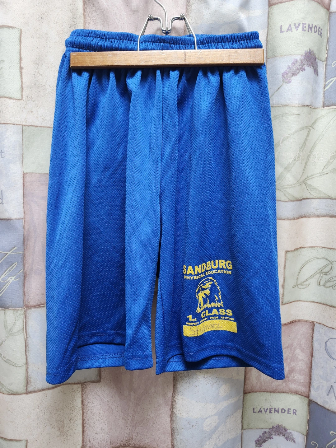 Carl Sandburg High School Physical Education Shorts