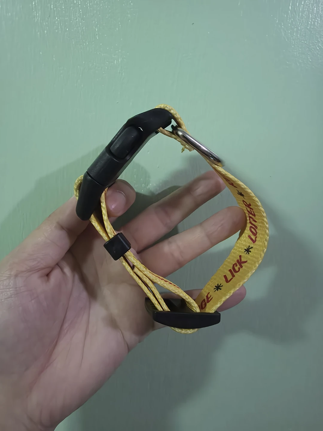 Temptations Yellow Cat Collar 🏈 - photo 2
