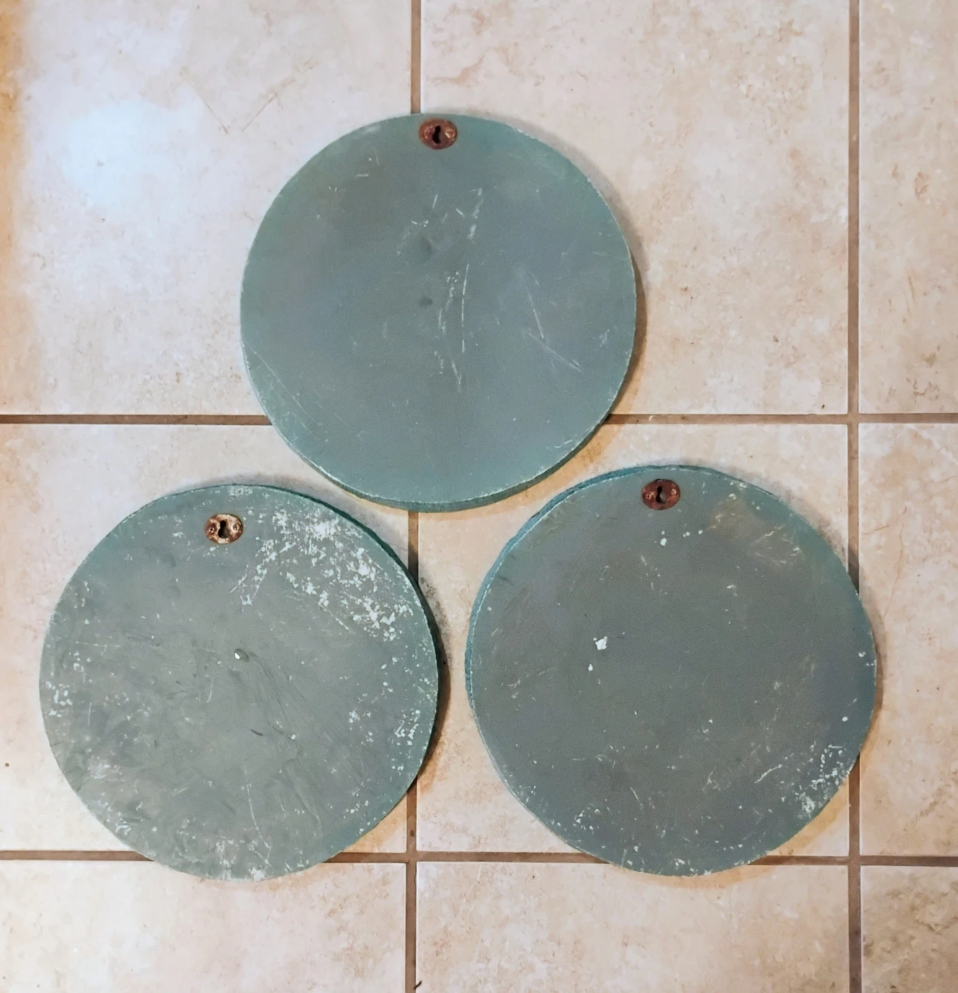 NATURE-THEMED ROUND STEPPING STONES - photo 5