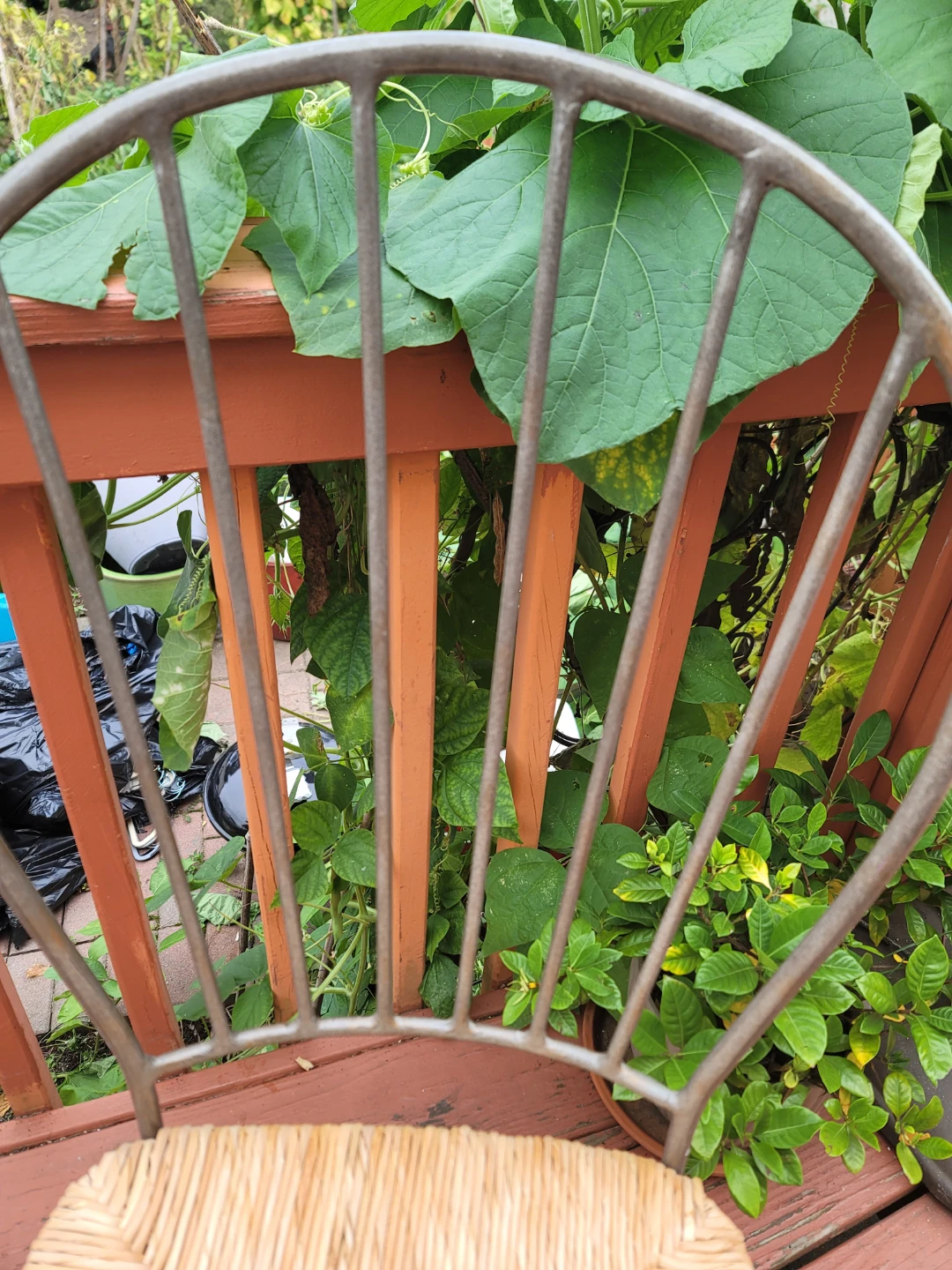 Metal and Woven Rattan Chair - photo 5