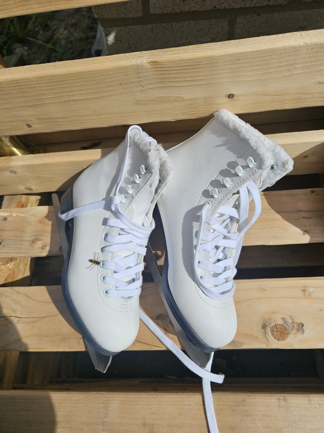 White recreational ice skates