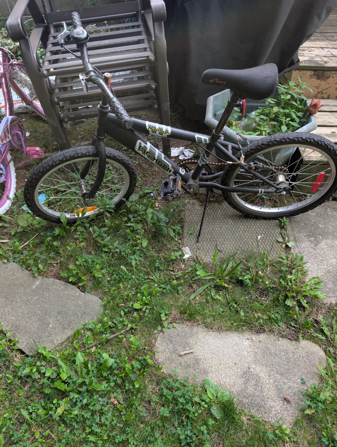 Raleigh Big Horn Kids Bike