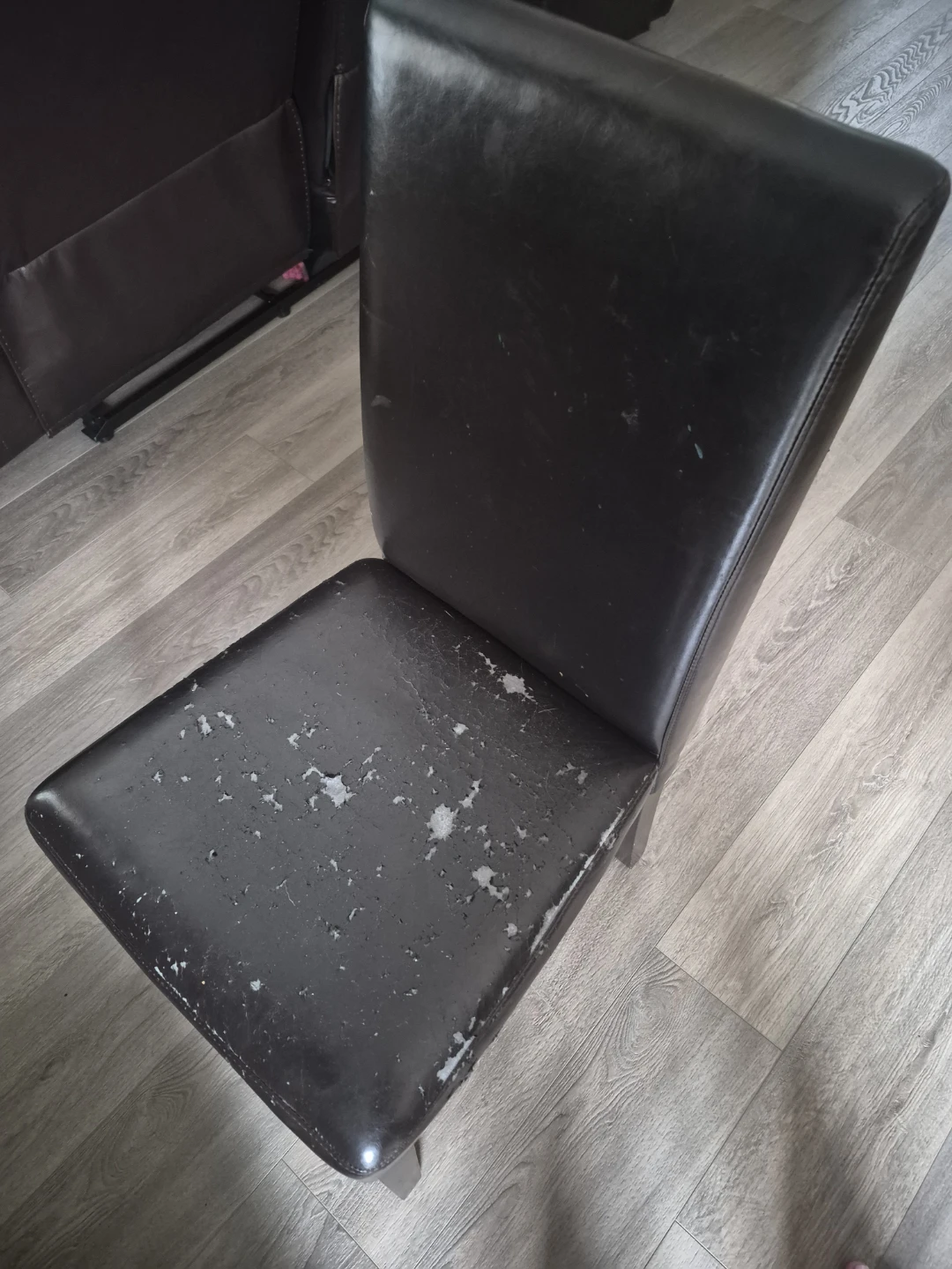 Dark Brown Dining Table and 6 Chairs - photo 4