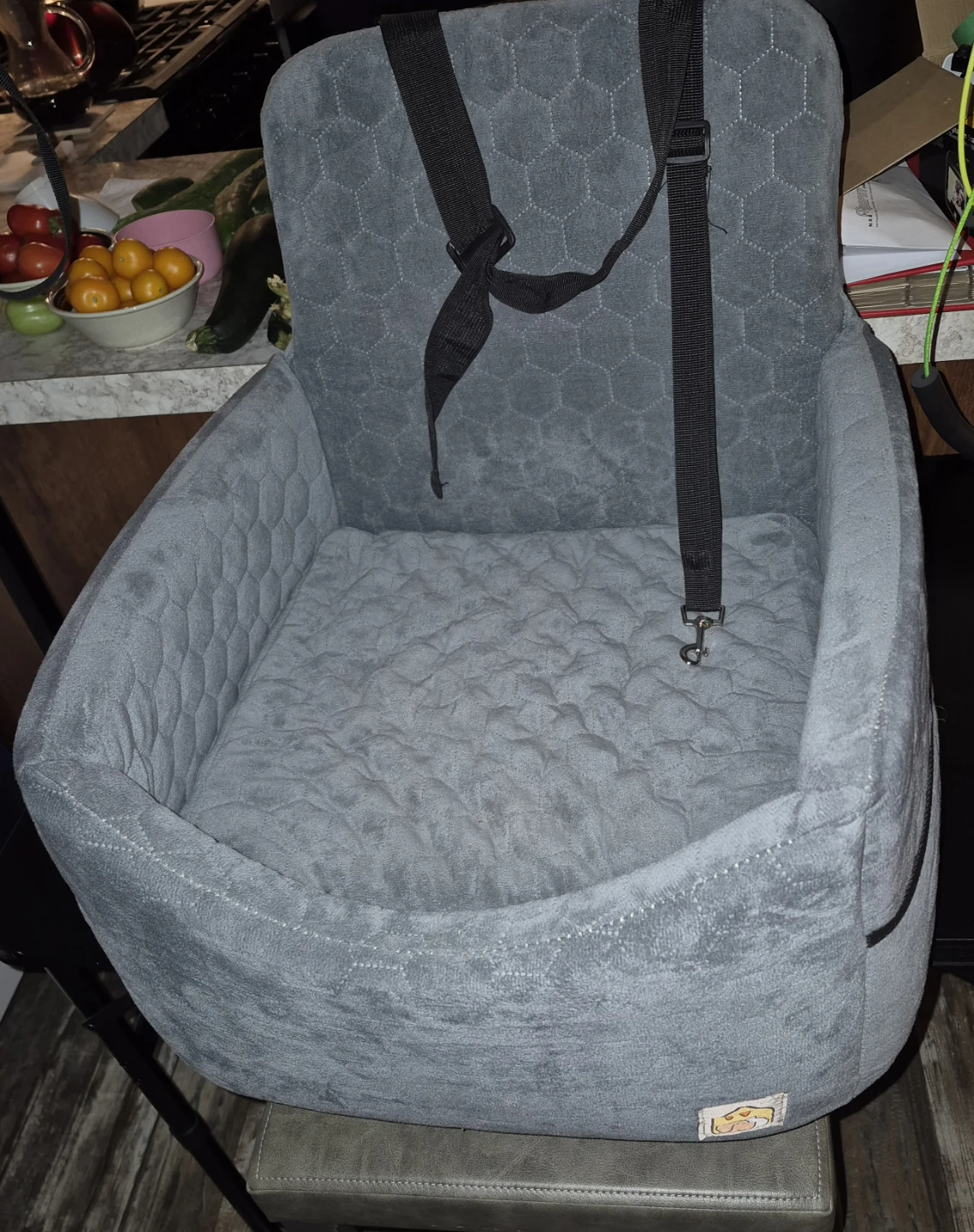 Pet Booster Car Seat