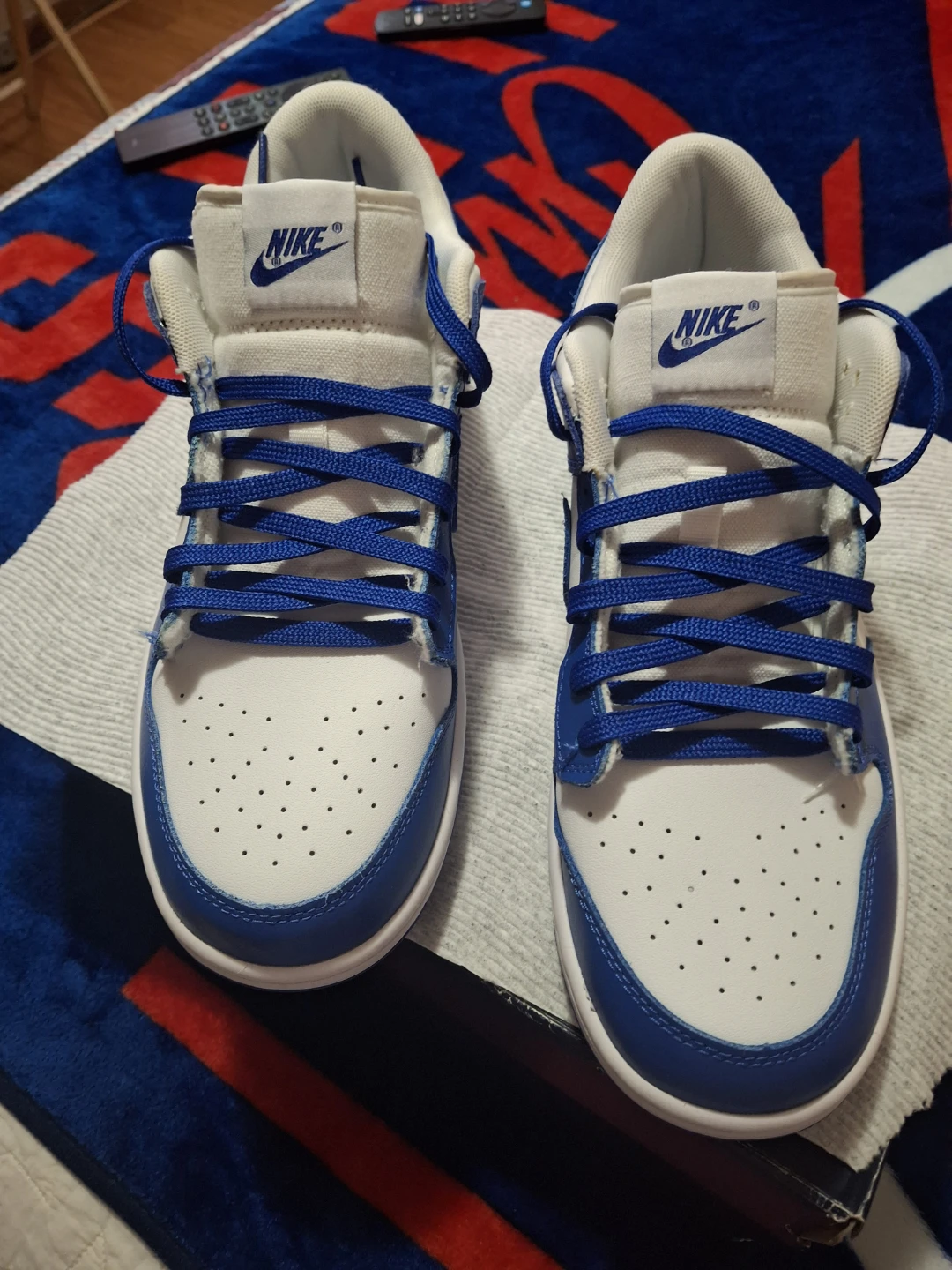 Nike Dunk Low Sneakers