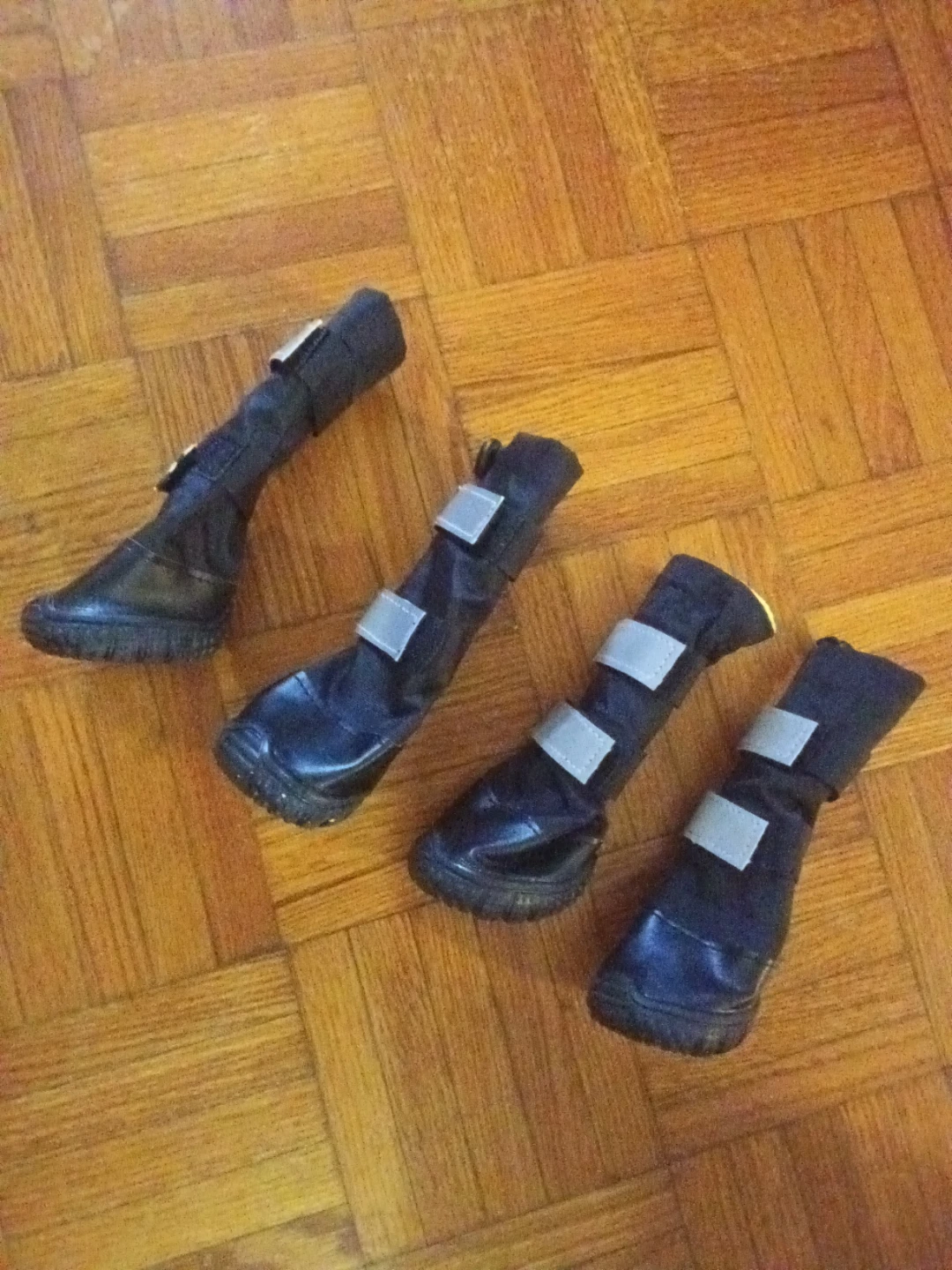 Set of 4 Black Dog Boots. Brand new. Medium - photo 2