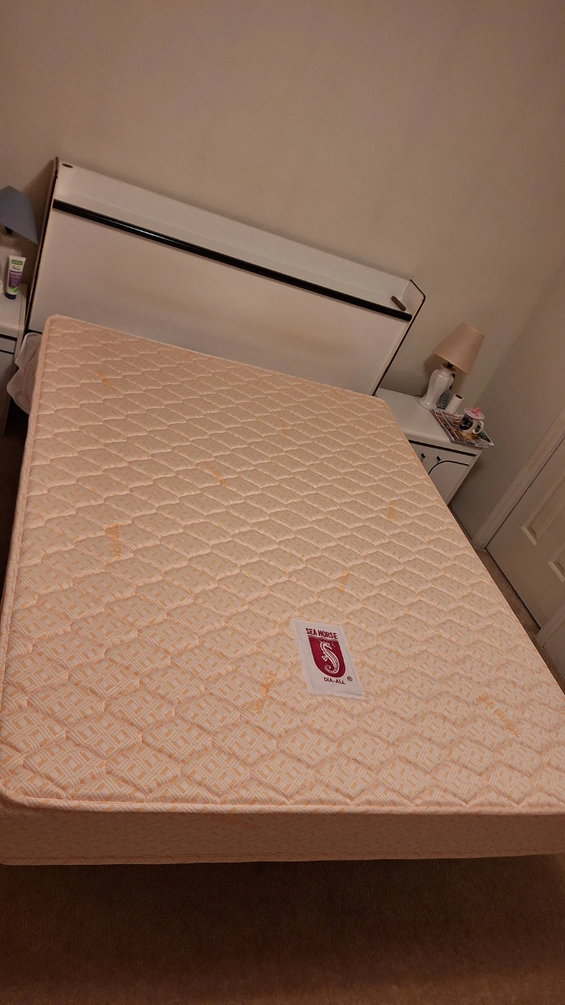 Seahorse Queen Mattress