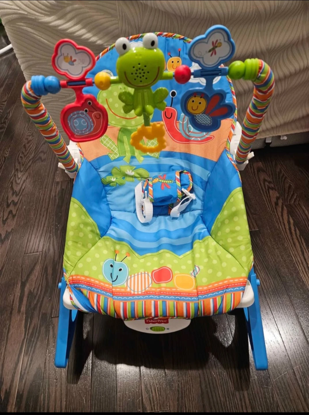 Fisher-Price Infant Bouncer