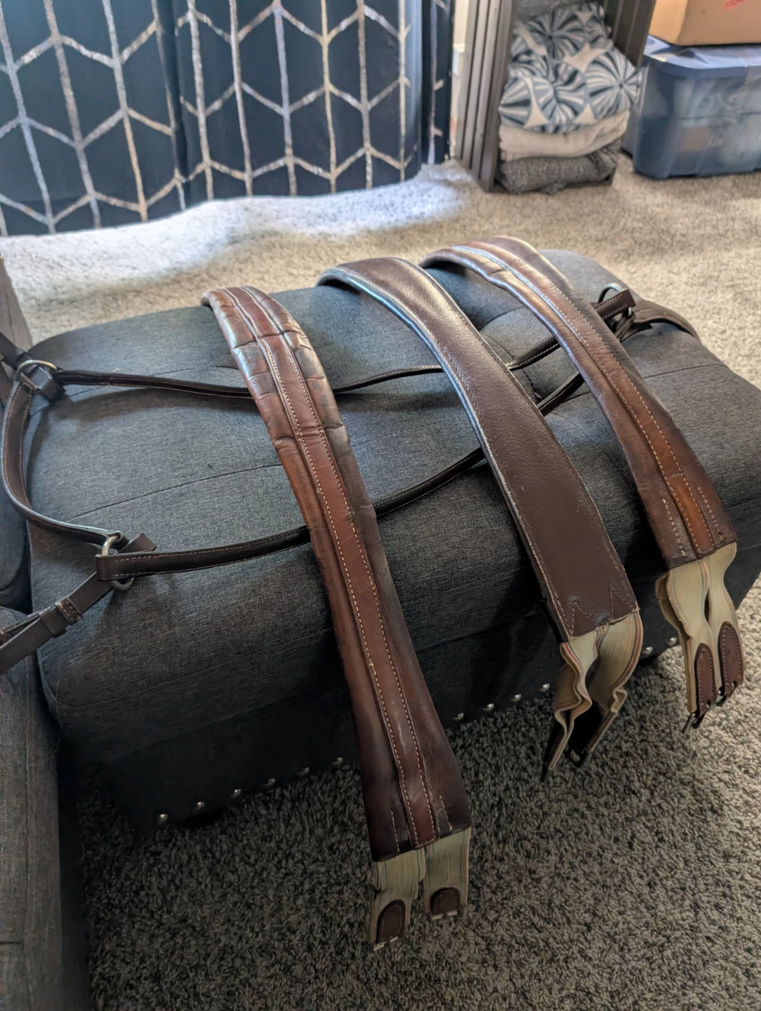 Leather Horse Girths and Breastplate set