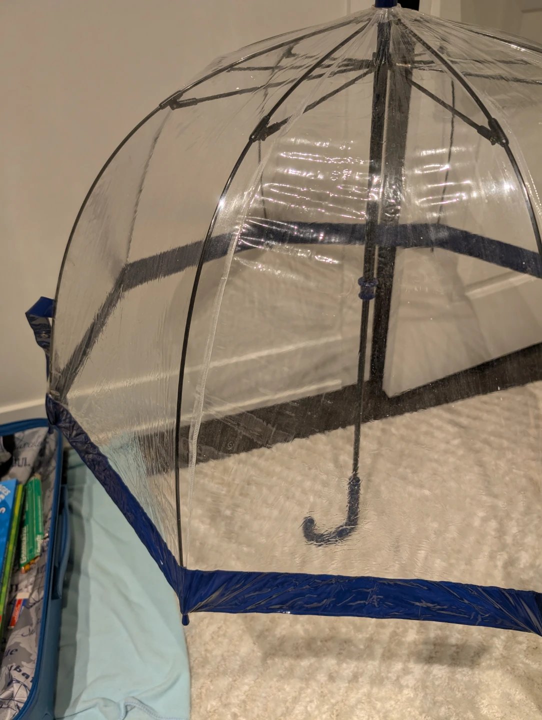 Clear Dome Umbrella with Navy Trim - photo 3