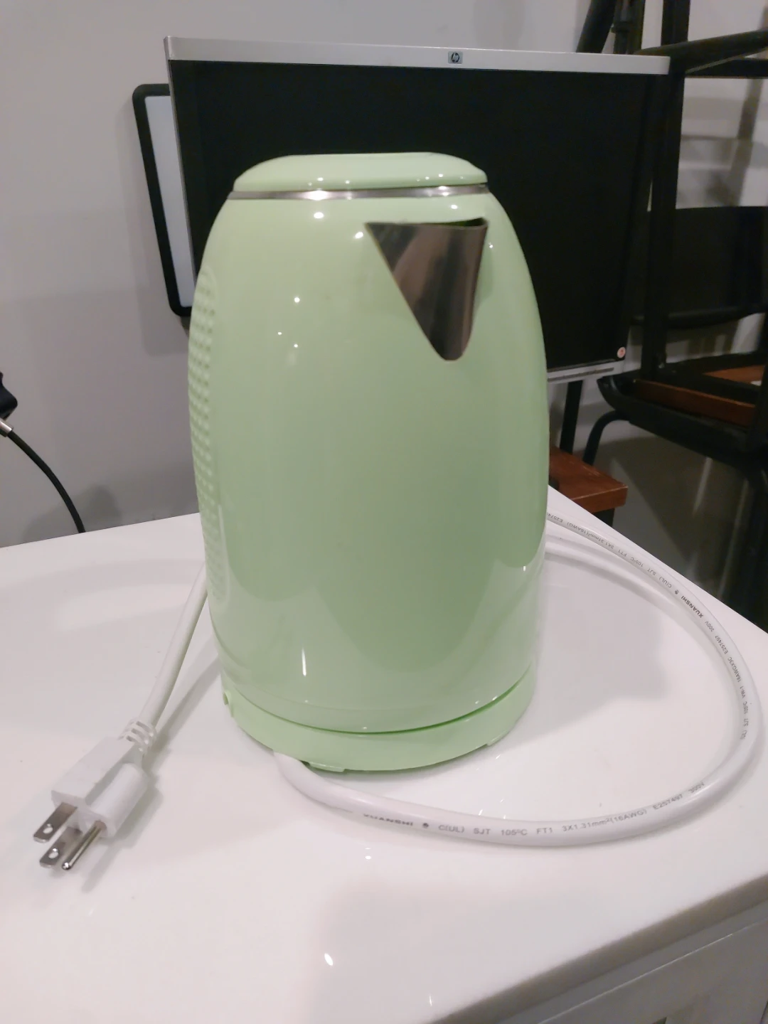 Light Green Electric Kettle