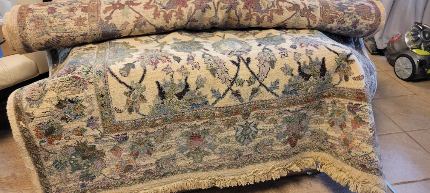 Vanini Collection Area Rug