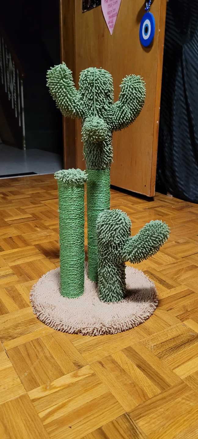 Cactus Cat Scratcher