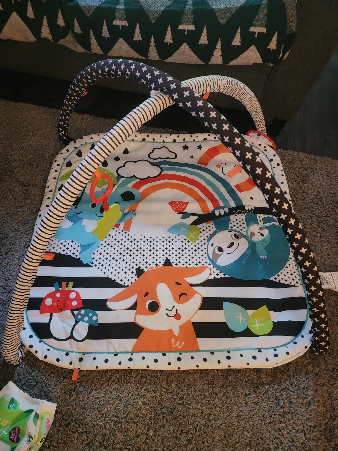 Parents Choice Baby Activity Gym