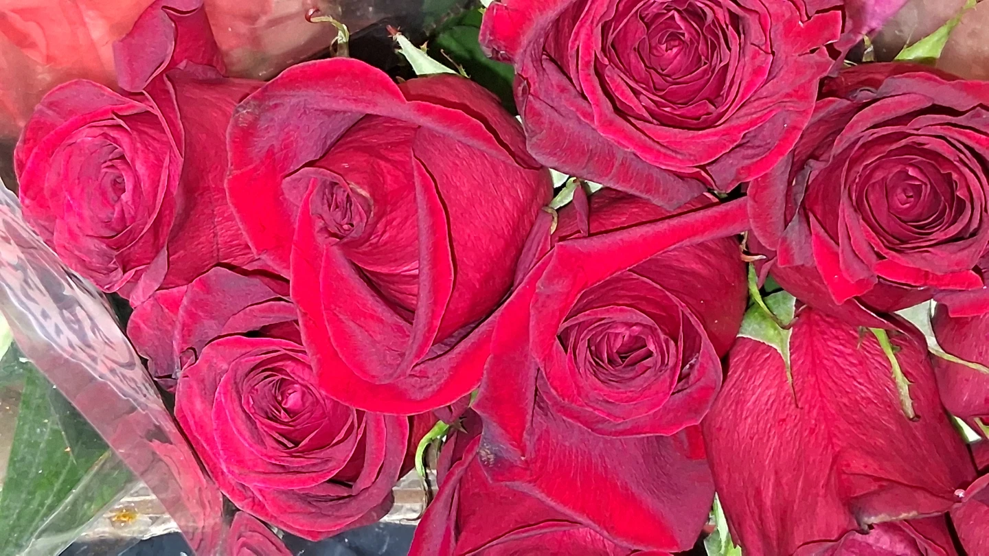 Fresh Cut Roses