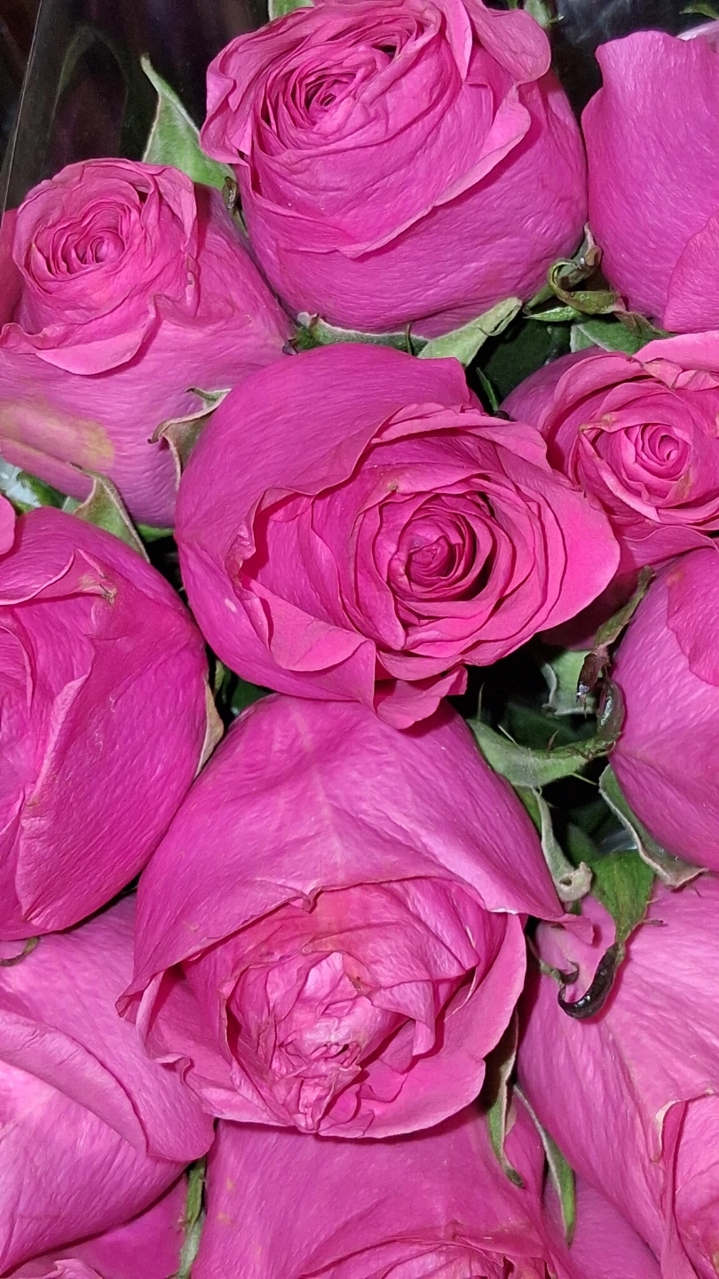 Fresh Cut Roses - photo 3