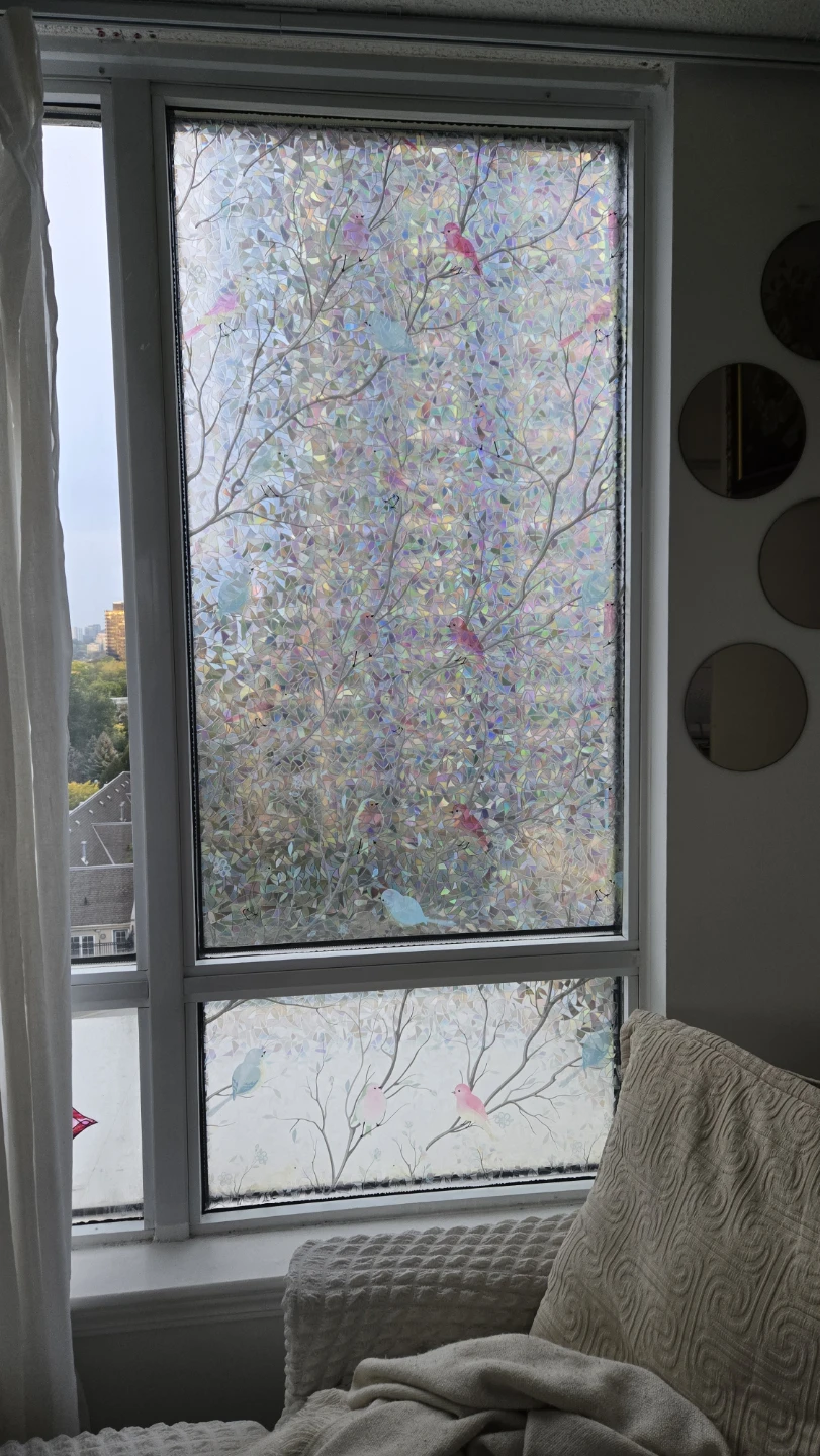 Static Window Privacy Films with Bird Design - photo 4