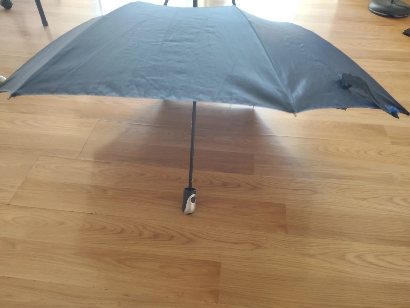 Umbrella - photo 2