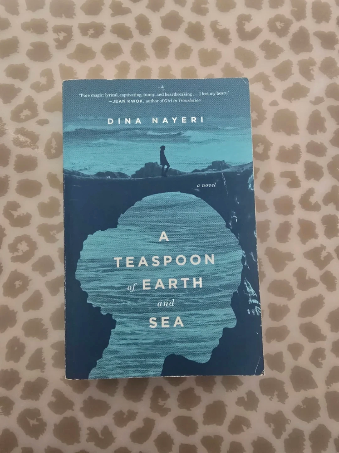 📚 A Teaspoon of Earth and Sea by Dina Nayeri