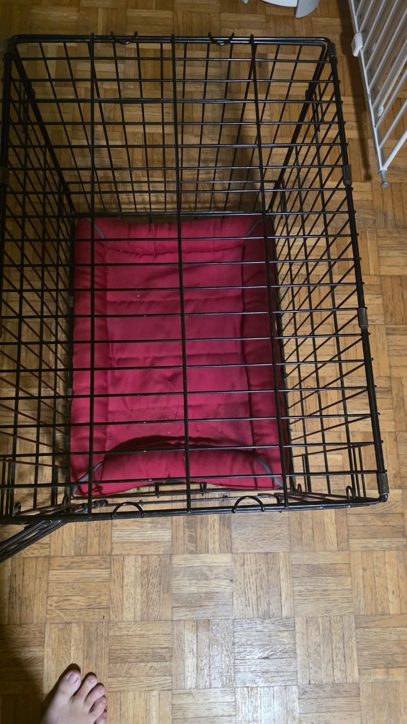 Precision Pet Products Dog Crate with Mat - photo 2
