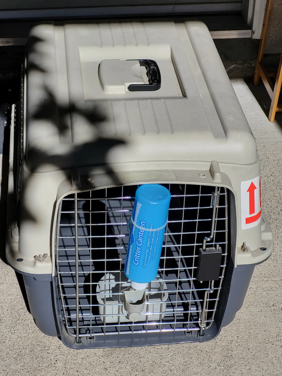Medium Pet Travel Carrier with Safety Cargo Net