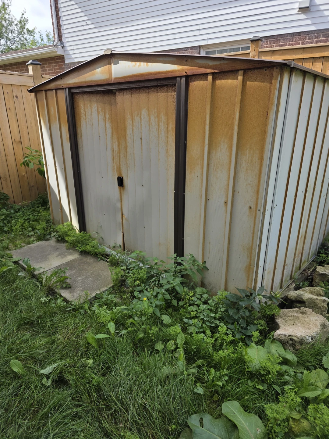 Backyard shed