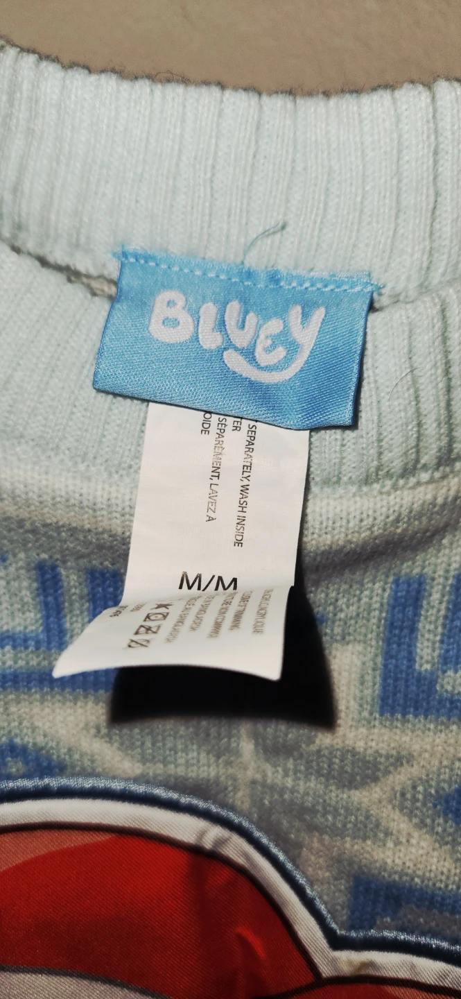 NWTG Bluey Holiday sweaters Size M - photo 2