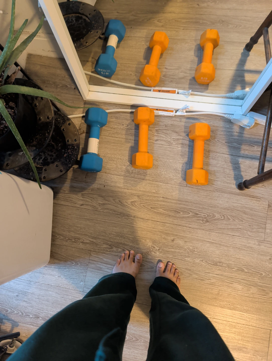 GoZone Dumbbell Set
