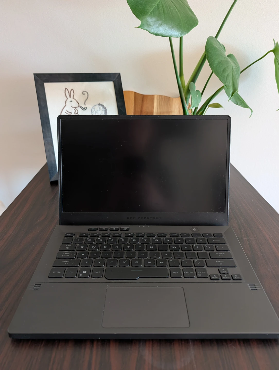 ASUS ROG Zephyrus G14 Gaming Laptop