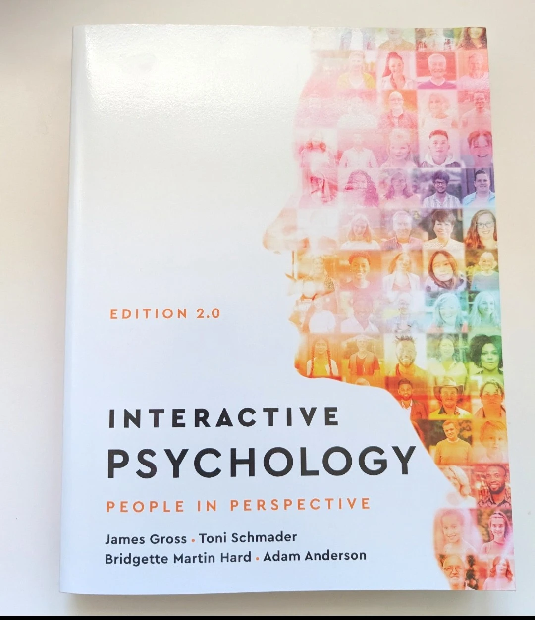 Interactive Psychology: People in Perspective 2