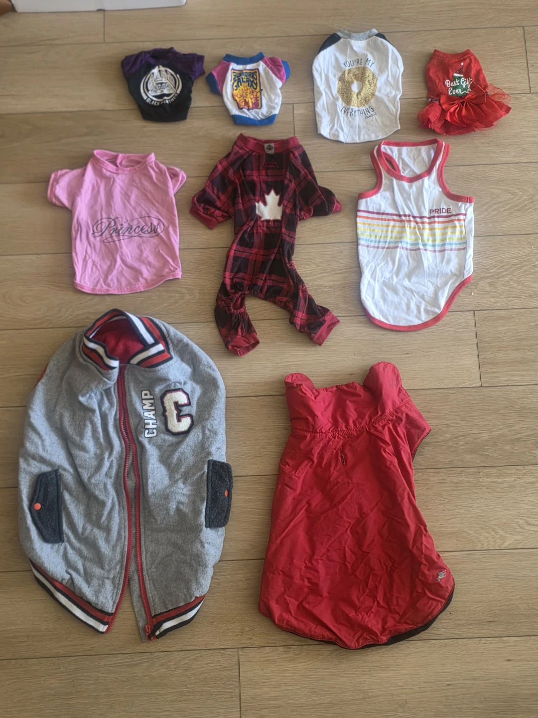Assorted Dog Clothes - Small