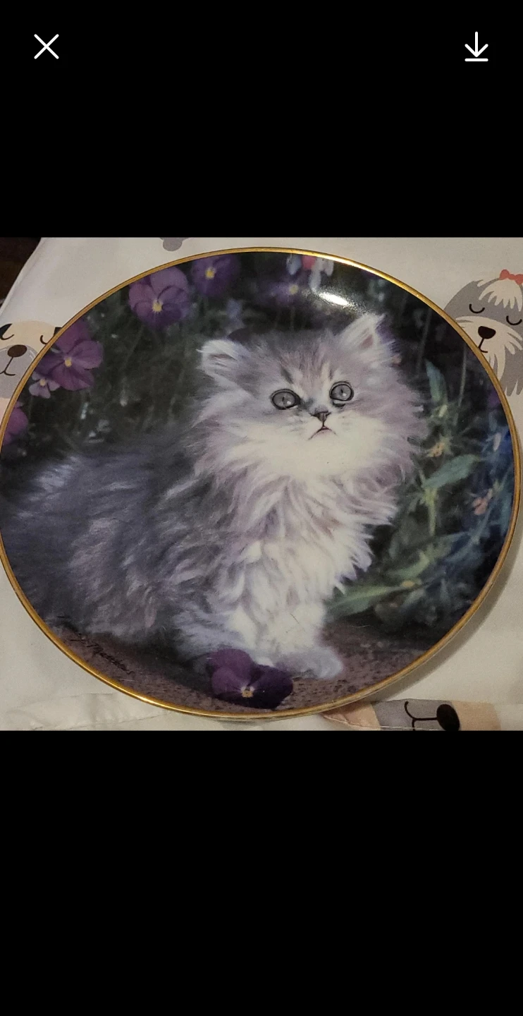 Decorative Kitten Collector Plate - photo 4