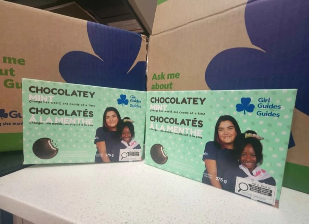 Two Boxes of Girl Guides Chocolatey Mint Cookies