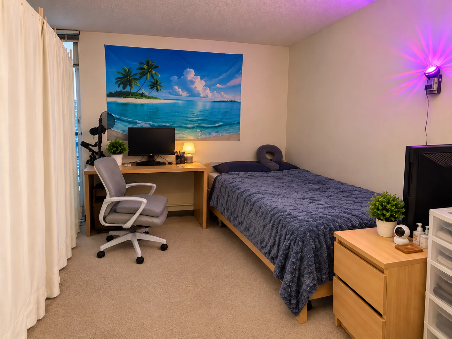 Downtown (Besides CTrain) Room for Rent