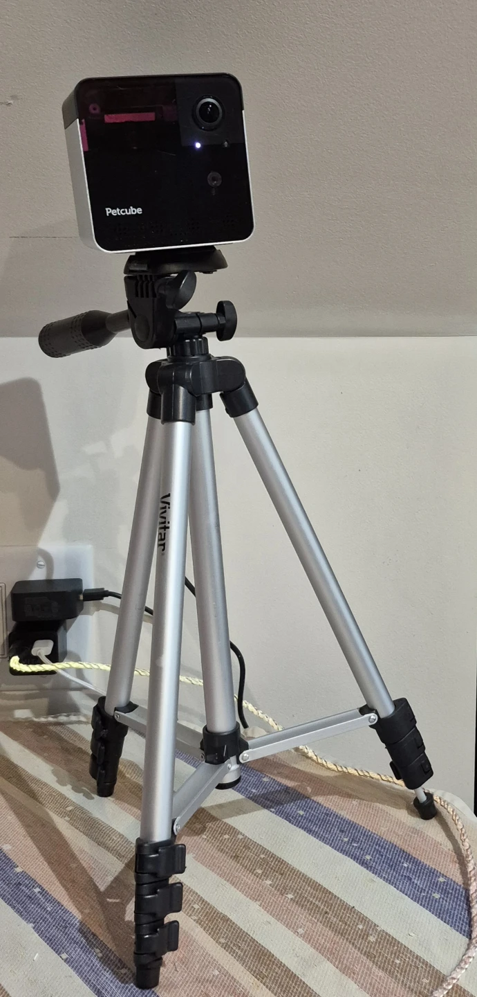 Petcube camera with Vivitar tripod