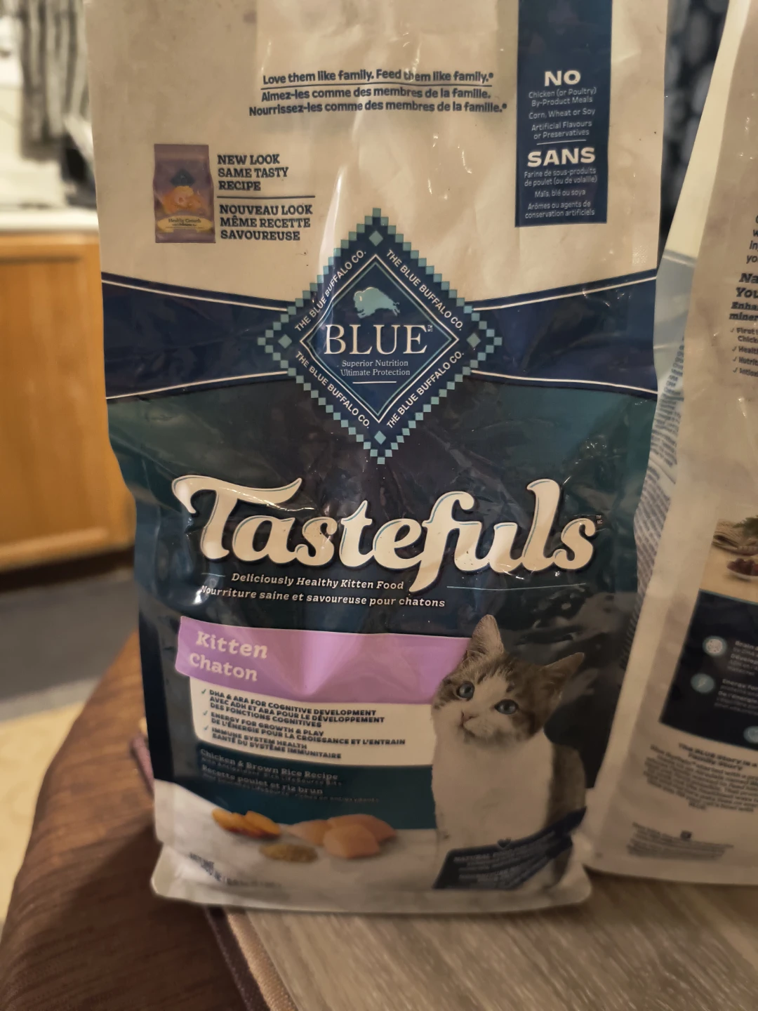 Kitten food
