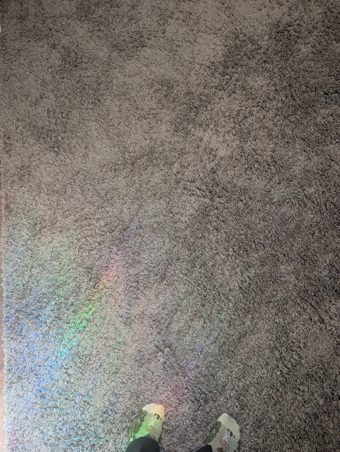 Grey Shag Area Rug