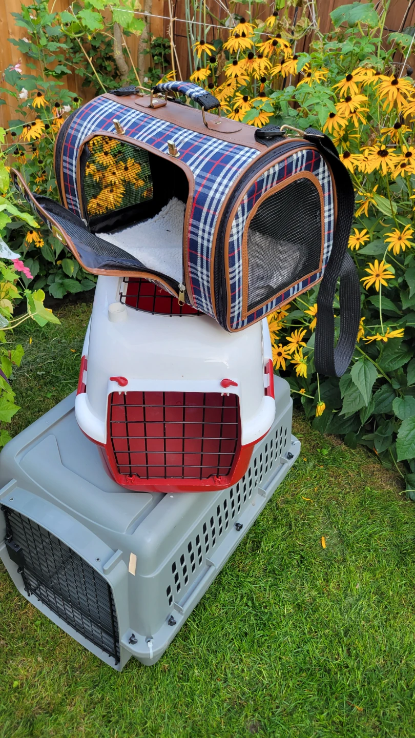 3-Pet Carrier Set - -$20 each - photo 2