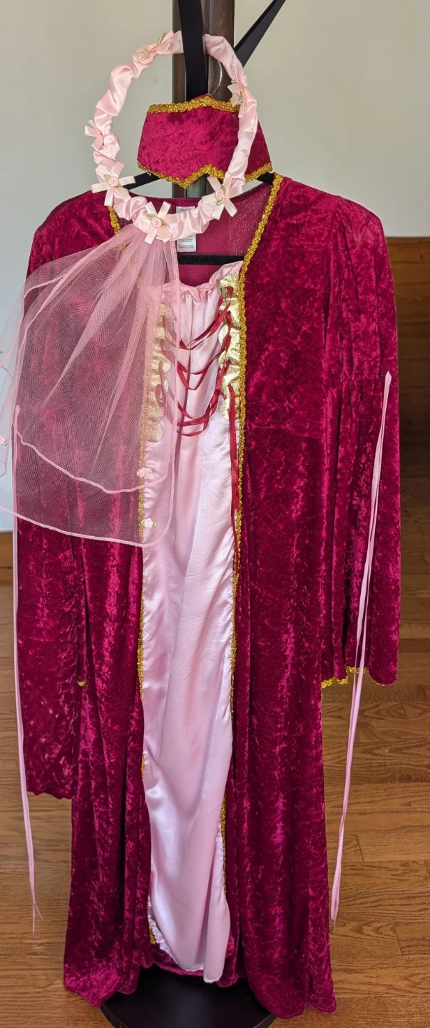👑 Renaissance Princess Costume - photo 4
