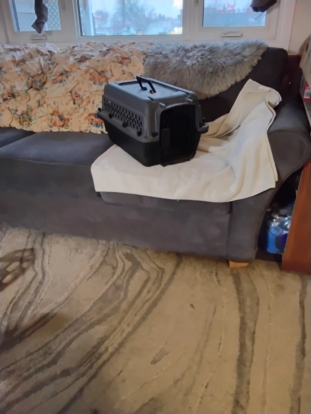 Small Pet Carrier