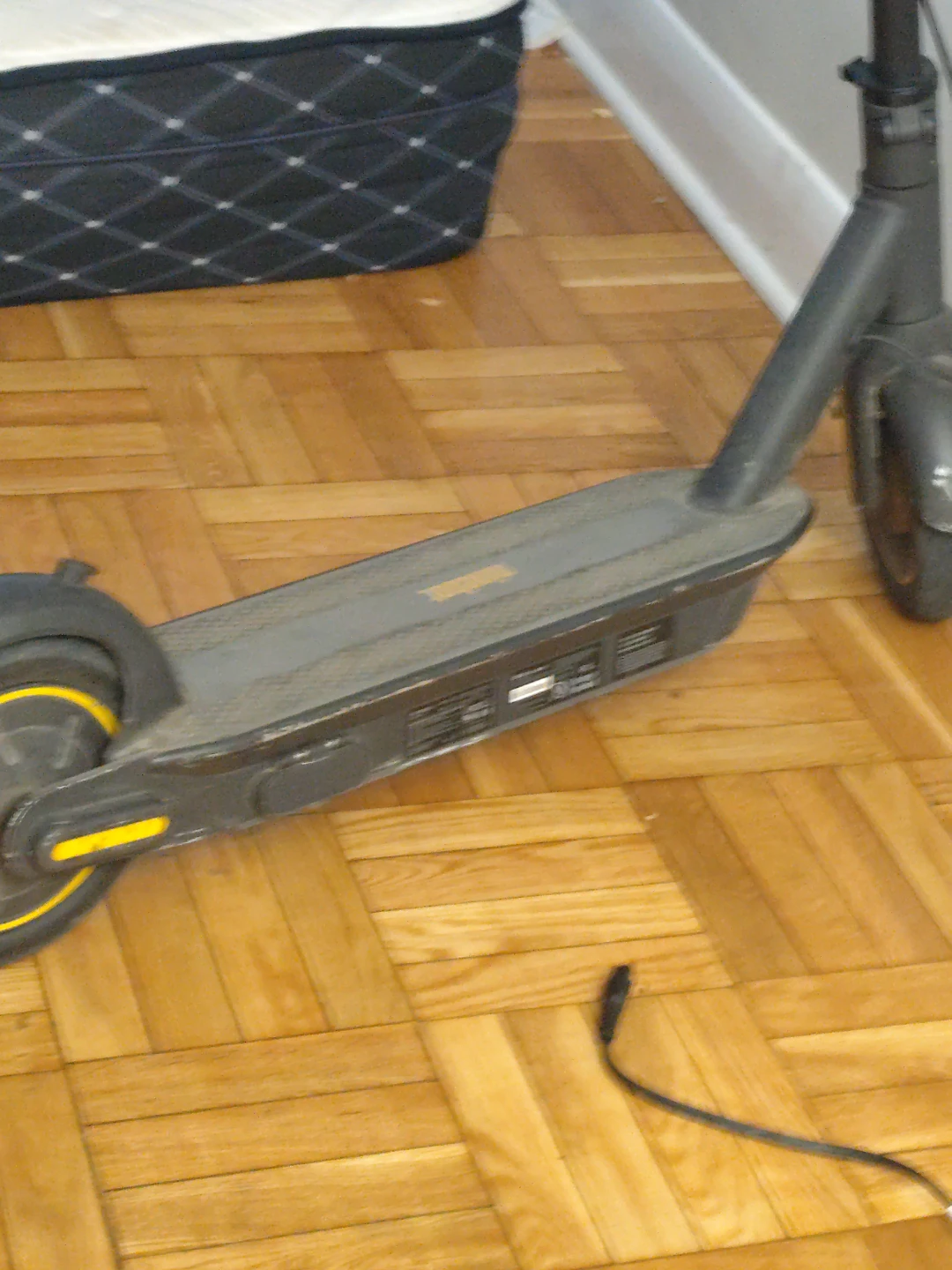 Ninebot Electric Scooter