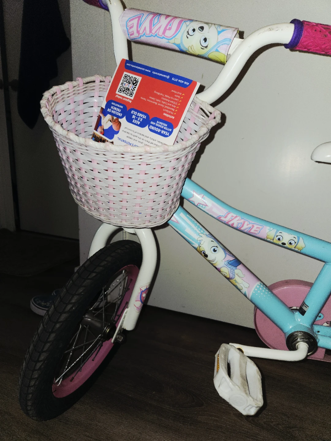 Paw Patrol Skye Kids Bicycle 12-inch - photo 4