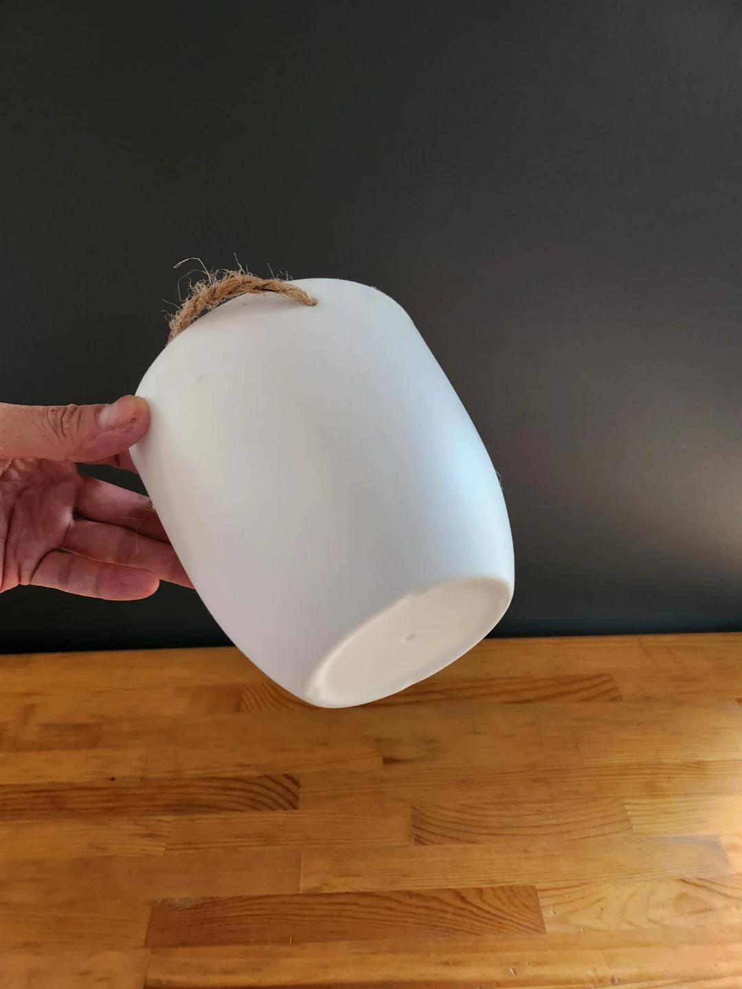 Hanging Planter Plastic White - photo 4