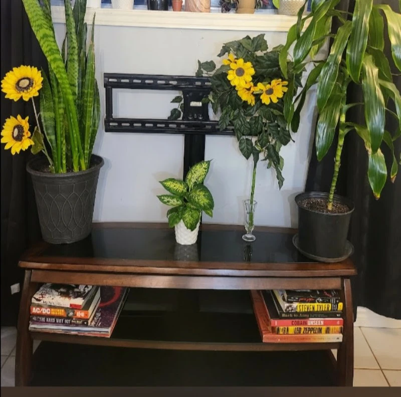 Media Stand with TV Mount