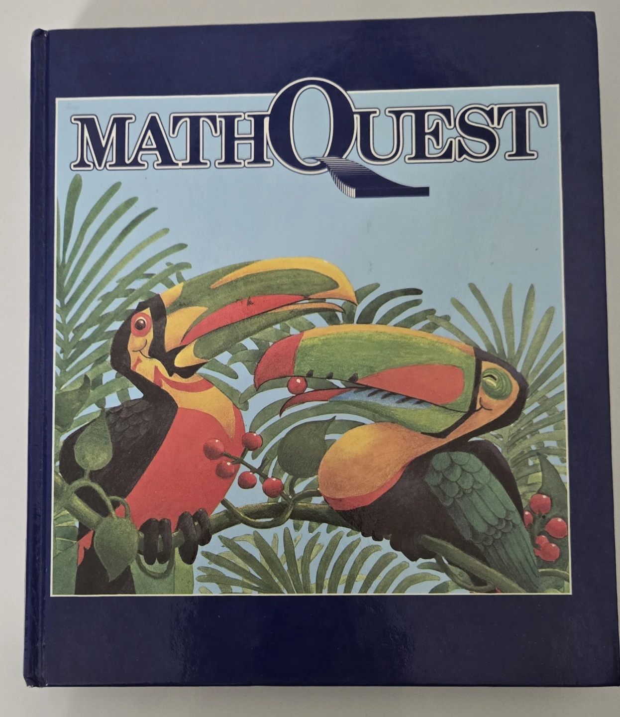 MathQuest Three Textbook